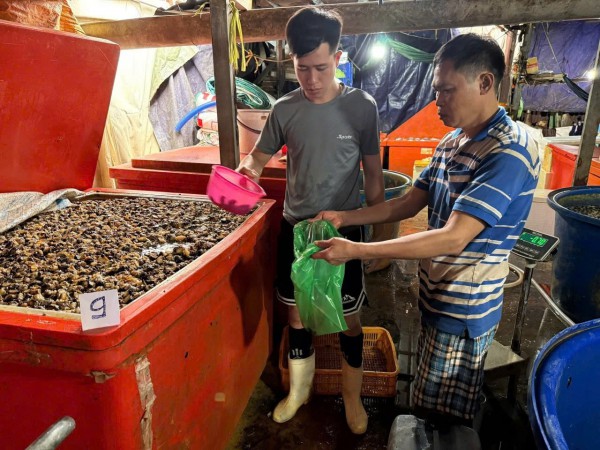 TP.HCM: Bắt vụ ngâm 3.000 tấn ốc bươu bằng 500 tấn hóa chất dùng trong xây dựng