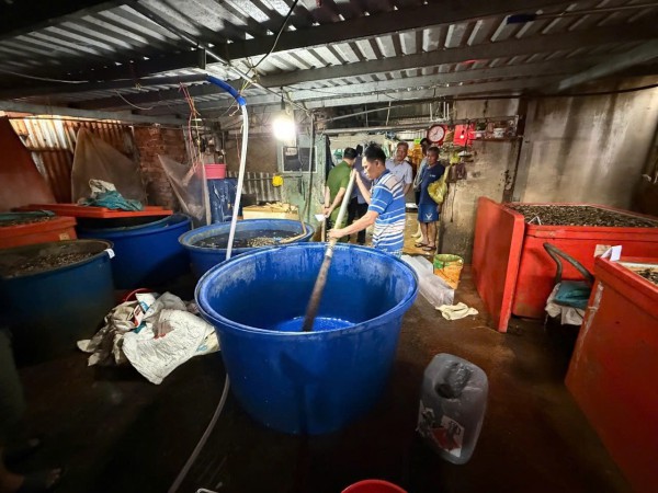 TP.HCM: Bắt vụ ngâm 3.000 tấn ốc bươu bằng 500 tấn hóa chất dùng trong xây dựng