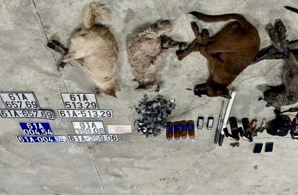 TP.HCM: Trộm chó bỏ lại ô tô có cả biển số xanh để thoát thân TP.HCM: Trộm chó bỏ lại ô tô có cả biển số xanh để thoát thân