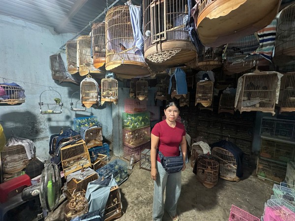 Trạm trưởng Trạm kiểm lâm Vũng Tàu bị Công an TP.HCM bắt giam