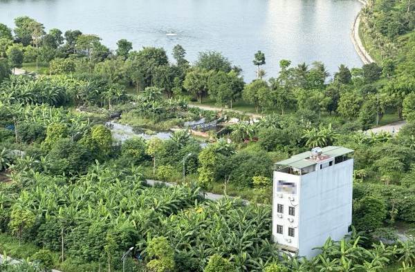 Tranh chấp tài sản giữa chàng rể ngoại quốc và gia đình vợ tại Việt Nam Tranh chấp tài sản giữa chàng rể ngoại quốc và gia đình vợ tại Việt Nam