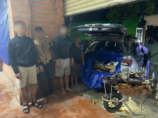 Triệt phá đường dây trộm chó quy mô lớn, thu giữ hơn 1,5 tấn tang vật Triệt phá đường dây trộm chó quy mô lớn, thu giữ hơn 1,5 tấn tang vật
