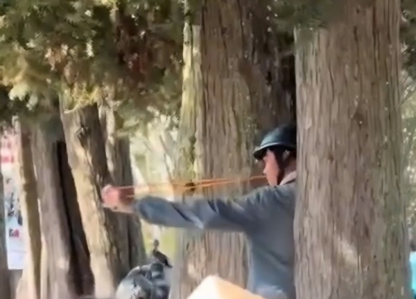 Truy tìm người bắn chim giữa phố Đà Lạt, hành hung phóng viên khi bị nhắc nhở