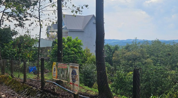 Truy tố Lê Sỹ Tùng, kẻ dùng súng thảm sát 3 người trong 1 gia đình ở Đồng Nai Truy tố Lê Sỹ Tùng, kẻ dùng súng thảm sát 3 người trong 1 gia đình ở Đồng Nai