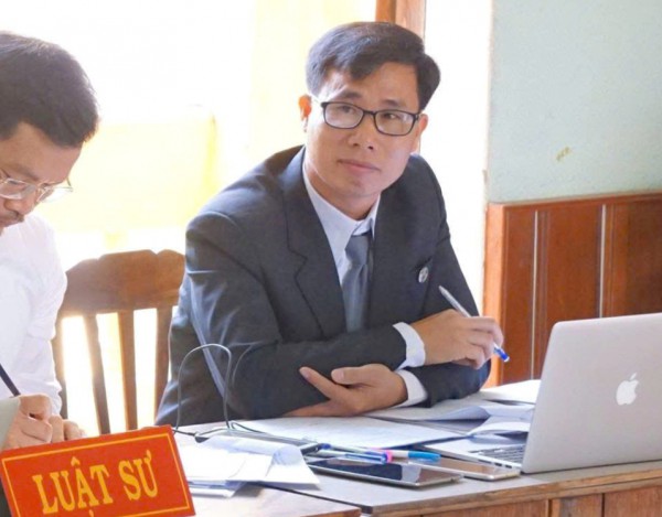 Vụ 42 cây mai vàng ở Côn Đảo: Khi nào phải chứng minh hồ sơ lâm sản?