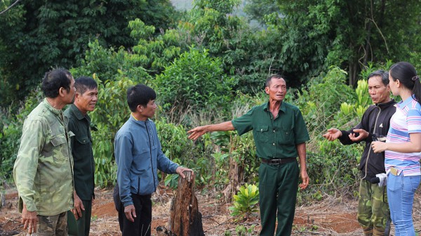 Vụ án 6 cựu chiến binh 'hủy hoại rừng' ở Đắk Nông: 3 lần trả hồ sơ chỉ trong 6 tháng