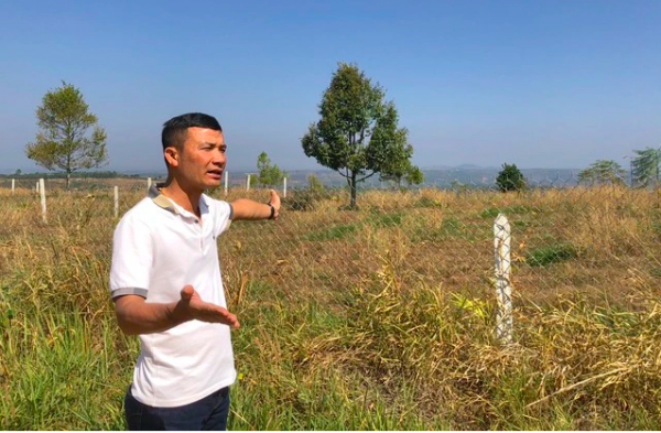 Vụ tự chặt cây cà phê: Viện kiểm sát rút kinh nghiệm vì thiếu chứng cứ kết tội Vụ tự chặt cây cà phê: Viện kiểm sát rút kinh nghiệm vì thiếu chứng cứ kết tội