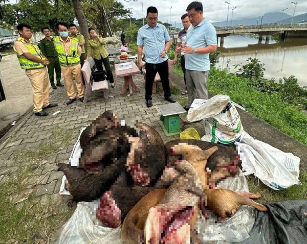 Xe khách chở lượng lớn thịt nghi động vật hoang dã qua hầm Hải Vân