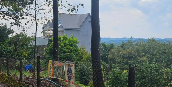 Xét xử vụ thảm sát 3 người trong 1 gia đình ở Đồng Nai gây chấn động cả nước