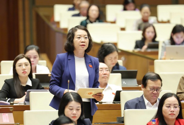 Đại biểu Quốc hội nói gì về giao quyền cưỡng chế thi hành án cho tư nhân?