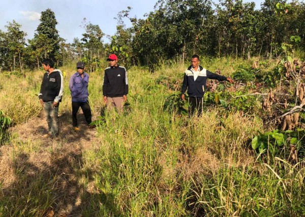Đắk Lắk: Khởi tố 3 bị can hủy hoại gần 2 ha rừng