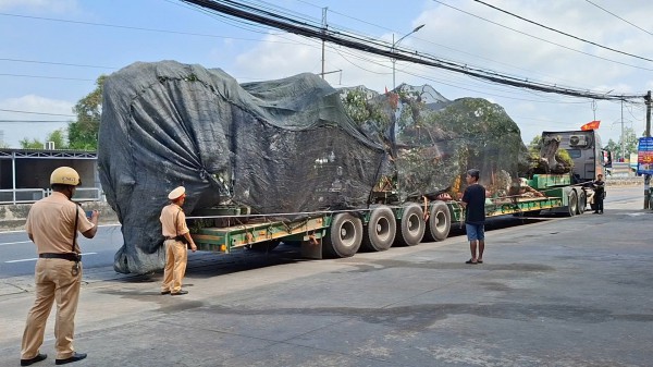 Để che lấp biển số rơ moóc, tài xế bị lập biên bản