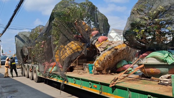 Để che lấp biển số rơ moóc, tài xế bị lập biên bản