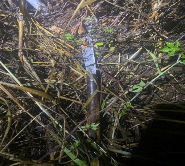 Đồng Nai: Bắt con rể cầm dao chém cha mẹ vợ cũ lúc nửa đêm