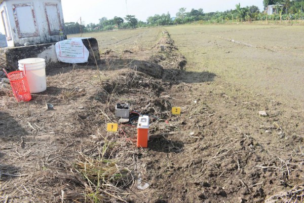 Đồng Tháp: Điều tra hai vụ giăng bẫy điện diệt chuột làm chết người