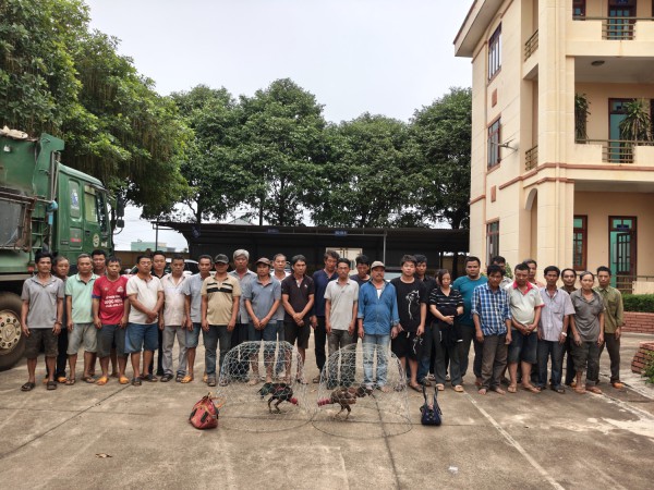 Đột kích trường gà ở Gia Lai, bắt giữ 31 người Đột kích trường gà ở Gia Lai, bắt giữ 31 người