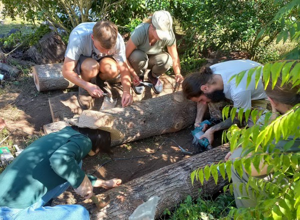 Bùng nổ xu hướng du lịch miễn phí của giới trẻ Bùng nổ xu hướng du lịch miễn phí của giới trẻ