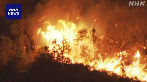 Cháy rừng nghiêm trọng tại Nhật Bản Cháy rừng nghiêm trọng tại Nhật Bản