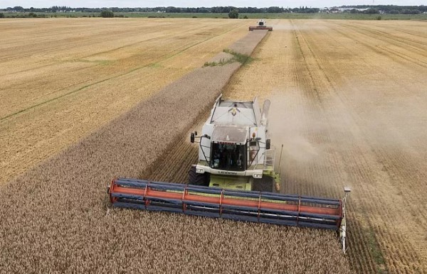 EU gia hạn lệnh cấm đối với ngũ cốc Ukraine đến giữa tháng 9