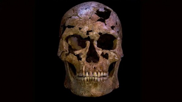 Giải mã bộ hài cốt 12.000 năm tuổi ở Ninh Bình Giải mã bộ hài cốt 12.000 năm tuổi ở Ninh Bình