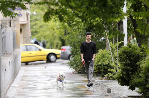 Iran siết chặt quy định cấm dắt chó đi dạo Iran siết chặt quy định cấm dắt chó đi dạo