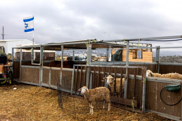 Israel mở rộng khu định cư ở Bờ Tây gây phản ứng