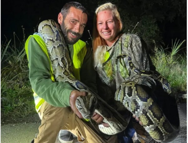 Lãnh thưởng 1.000 USD nhờ bắt 87 con trăn Lãnh thưởng 1.000 USD nhờ bắt 87 con trăn