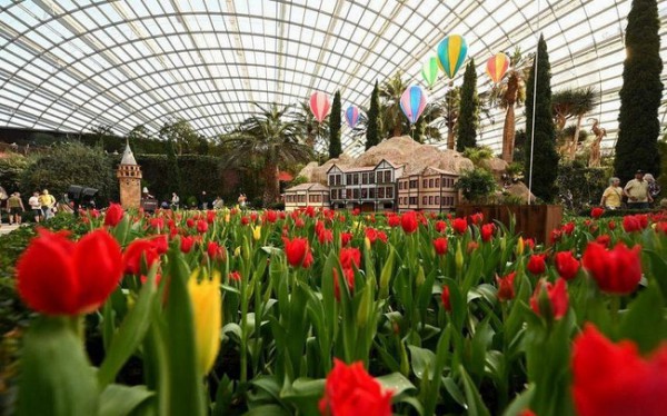 Lễ hội hoa Tulipmania tại Gardens by the Bay