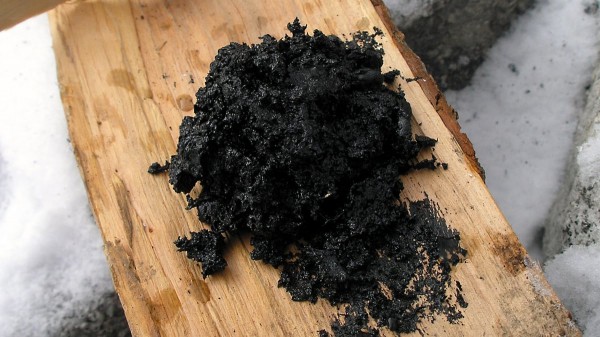 Người Neanderthal biết chế tạo dược phẩm từ 200.000 năm trước? Người Neanderthal biết chế tạo dược phẩm từ 200.000 năm trước?