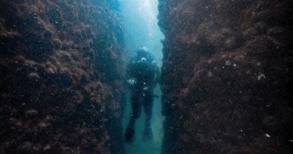 Những phát hiện khảo cổ gây chấn động thế giới năm 2025 Những phát hiện khảo cổ gây chấn động thế giới năm 2025