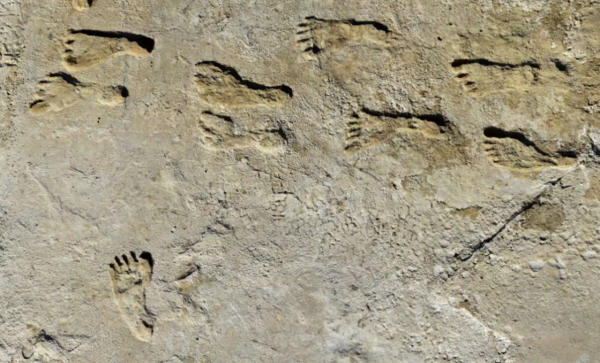 Phát hiện đáng kinh ngạc về dấu chân người cổ xưa nhất ở Mỹ