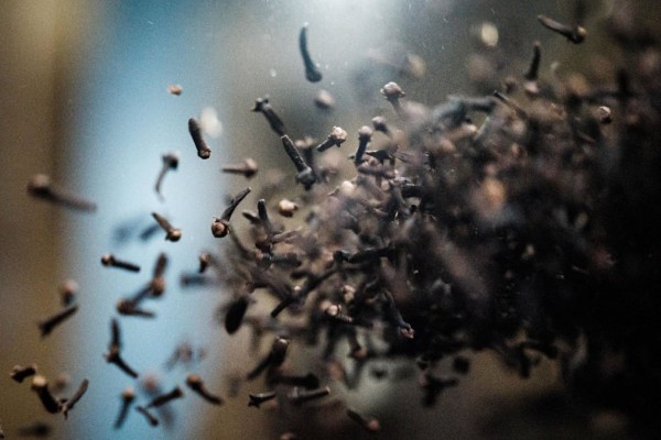 Phát hiện dấu vết phóng xạ tại trang trại đinh hương ở Indonesia