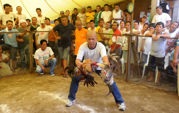 Philippines điều tra 15 cảnh sát liên quan nghi án sát hại 34 người đá gà Philippines điều tra 15 cảnh sát liên quan nghi án sát hại 34 người đá gà