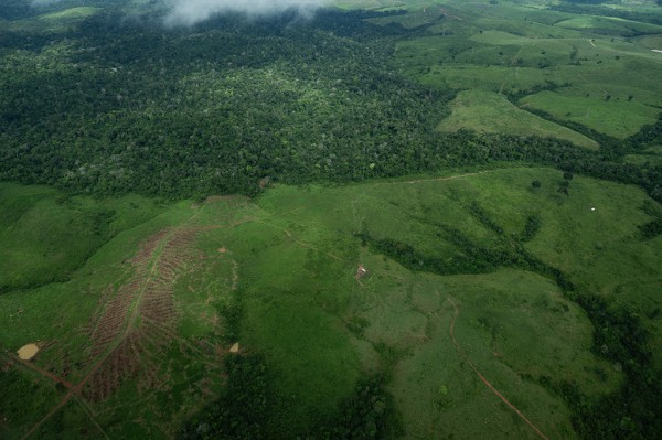 Tầng ozone trên đà hồi phục, rừng Amazon lại thu hẹp đáng kể Tầng ozone trên đà hồi phục, rừng Amazon lại thu hẹp đáng kể