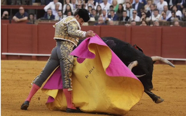 Tây Ban Nha bãi bỏ giải đấu bò quốc gia Tây Ban Nha bãi bỏ giải đấu bò quốc gia
