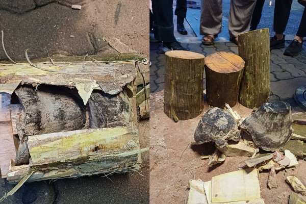 Thái Lan bắt giữ người Việt buôn lậu sừng tê giác từ châu Phi