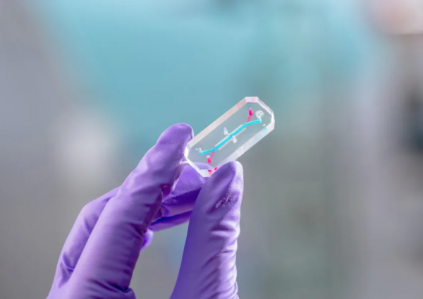 Thí nghiệm trên người ở Artemis 2 cho những chuyến đi xa hơn vào vũ trụ Thí nghiệm trên người ở Artemis 2 cho những chuyến đi xa hơn vào vũ trụ