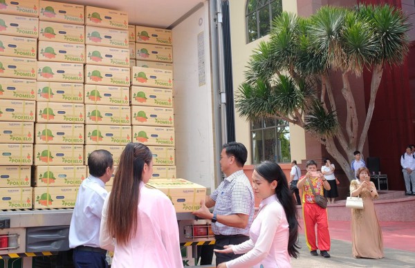 Thị trường Úc đón nhận bưởi Việt Nam Thị trường Úc đón nhận bưởi Việt Nam