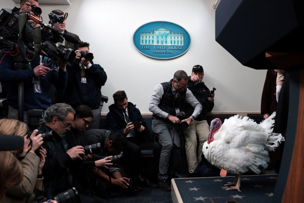 Tổng thống Trump ân xá gà tây dịp Lễ tạ ơn