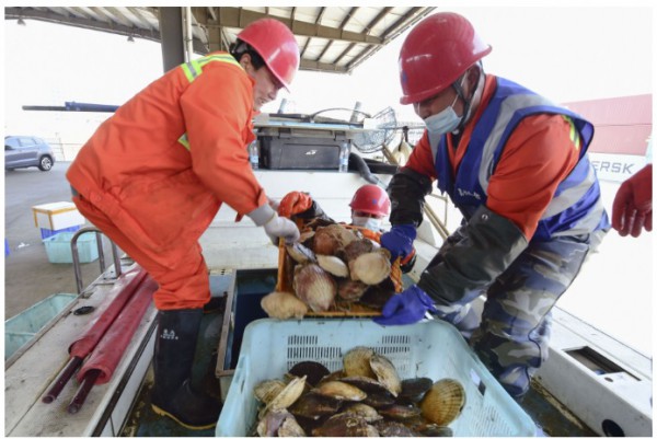 Trung Quốc dỡ bỏ lệnh cấm nhập khẩu hải sản Nhật Bản Trung Quốc dỡ bỏ lệnh cấm nhập khẩu hải sản Nhật Bản