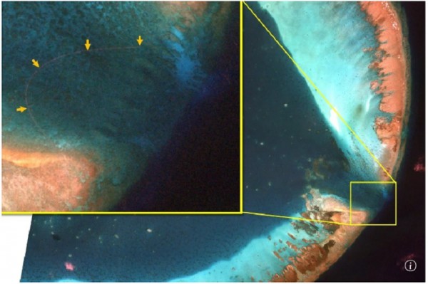 Trung Quốc lập rào chắn tại bãi cạn Scarborough ở Biển Đông? Trung Quốc lập rào chắn tại bãi cạn Scarborough ở Biển Đông?