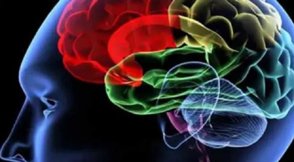 Vì sao WHO kêu gọi tập trung khẩn cấp vào sức khỏe não bộ?