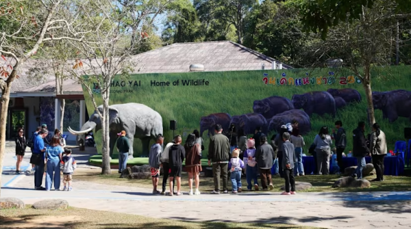 Voi rừng liên tiếp tấn công chết người ở Thái Lan