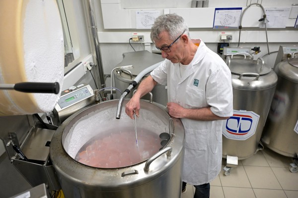 WHO lần đầu ban hành hướng dẫn toàn cầu chống vô sinh