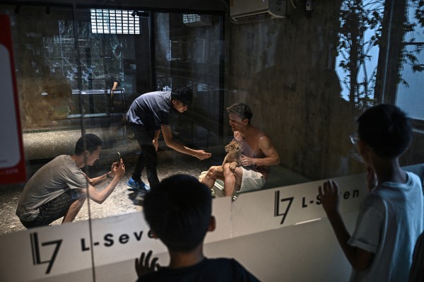 Xu hướng nuôi sư tử làm thú cưng gây tranh cãi ở Thái Lan Xu hướng nuôi sư tử làm thú cưng gây tranh cãi ở Thái Lan