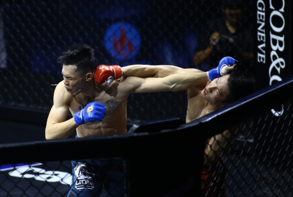 Cảnh báo nóng về website cá cược trái phép liên quan MMA tại Việt Nam