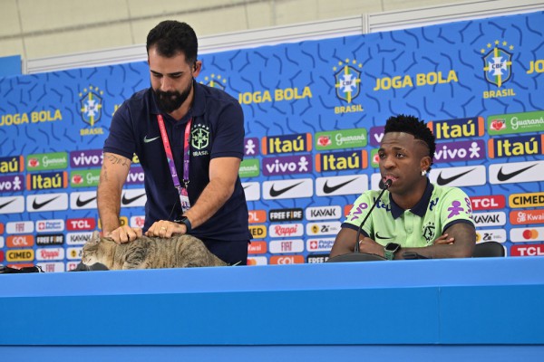 Buổi họp báo của tuyển Brazil trước tứ kết gặp Croatia có sự tham dự của… mèo