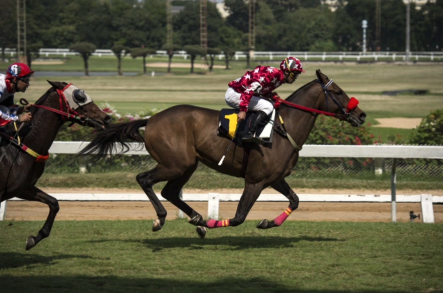 Thái Lan lo ngại nạn cờ bạc lậu trong dịp World Cup 2022 Thái Lan lo ngại nạn cờ bạc lậu trong dịp World Cup 2022