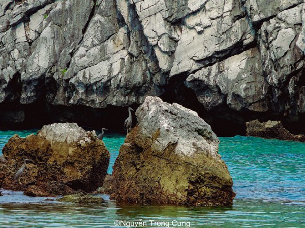 Bộ ảnh đẹp mê hồn về hòn đảo không phải ai cũng được đặt chân đến ở Hải Phòng Bộ ảnh đẹp mê hồn về hòn đảo không phải ai cũng được đặt chân đến ở Hải Phòng