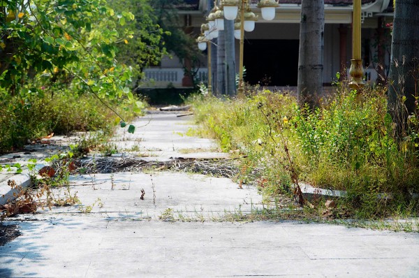 Bảo tàng 'ngủ quên' giữa vườn cỏ dại